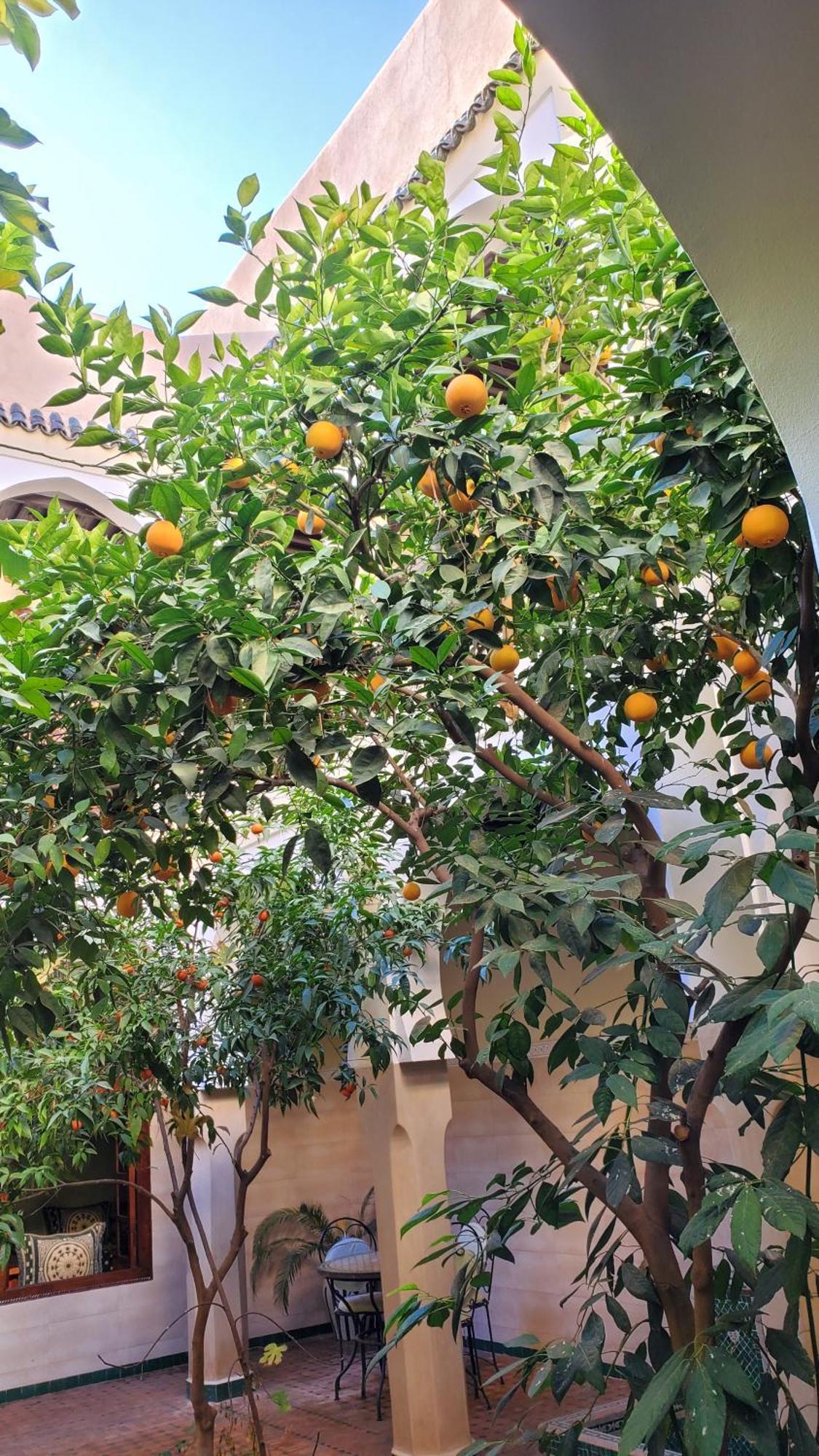 Riad Tidar By Phoenix Марракеш Екстер'єр фото