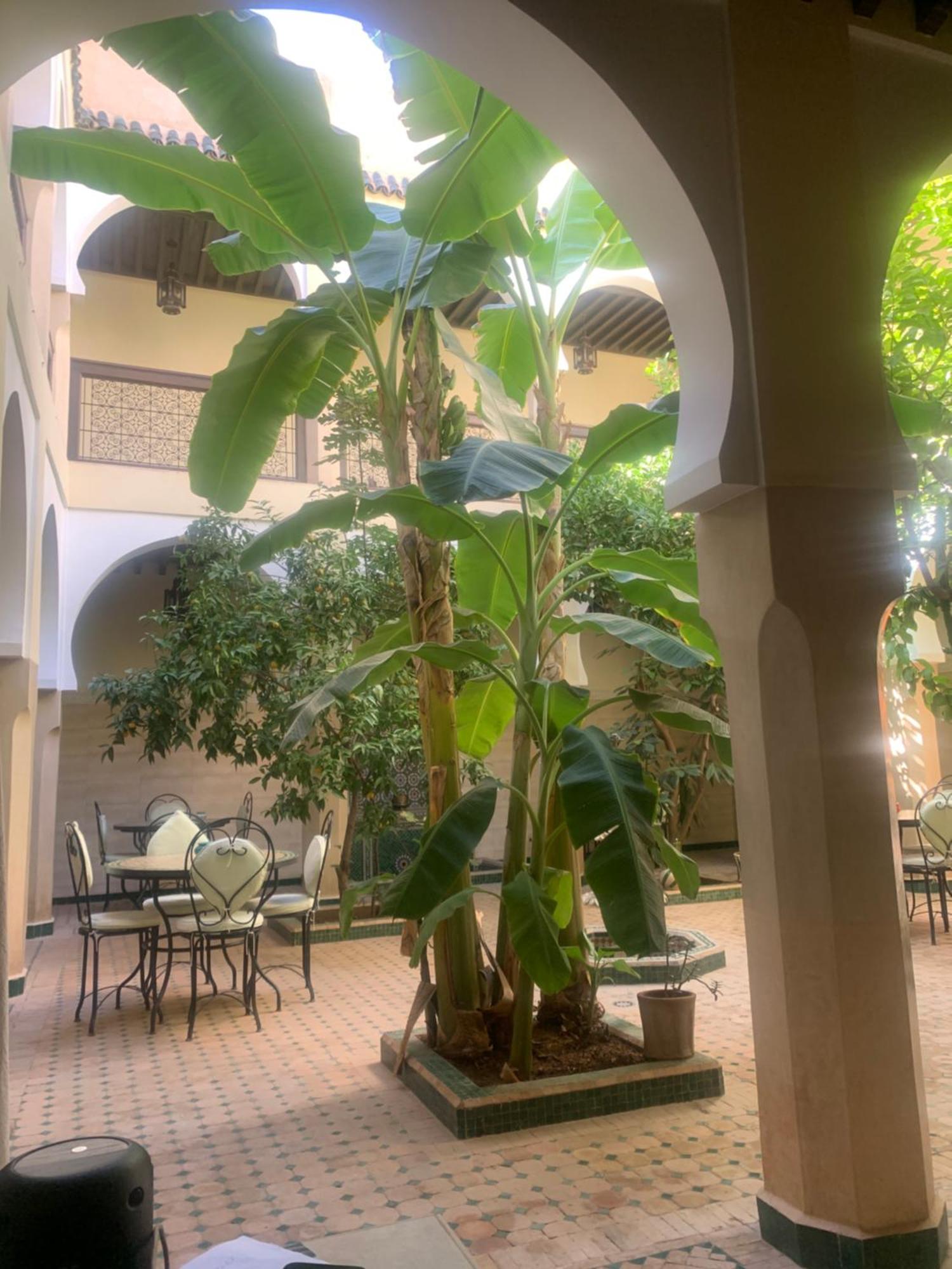 Riad Tidar By Phoenix Марракеш Екстер'єр фото
